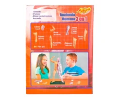 Anatomía Humana 3 En 1 - Mi Alegría*Mi Alegria mexico Discount